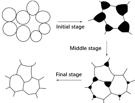 Three stages of solid state sintering